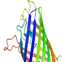 Proteinstruktur